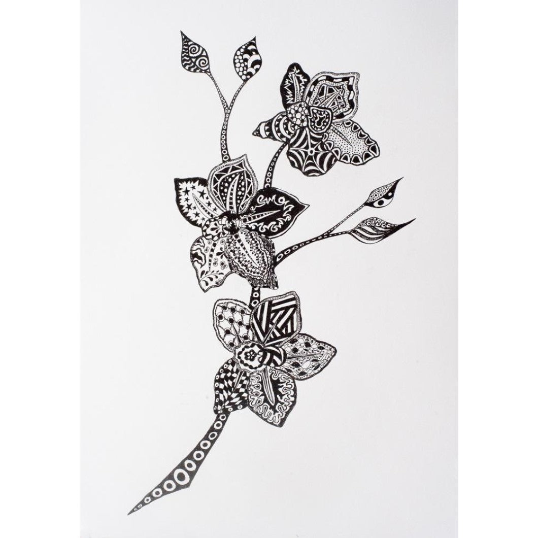 Drawing - Plants - Orchid 2