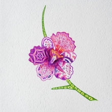 Load image into Gallery viewer, Drawing - Plants - Orchid 4
