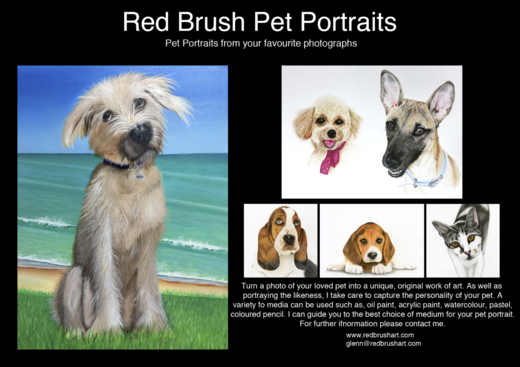 Pet Portrait Commissions