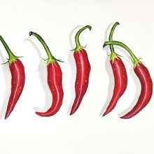 Load image into Gallery viewer, Painting - Chillis
