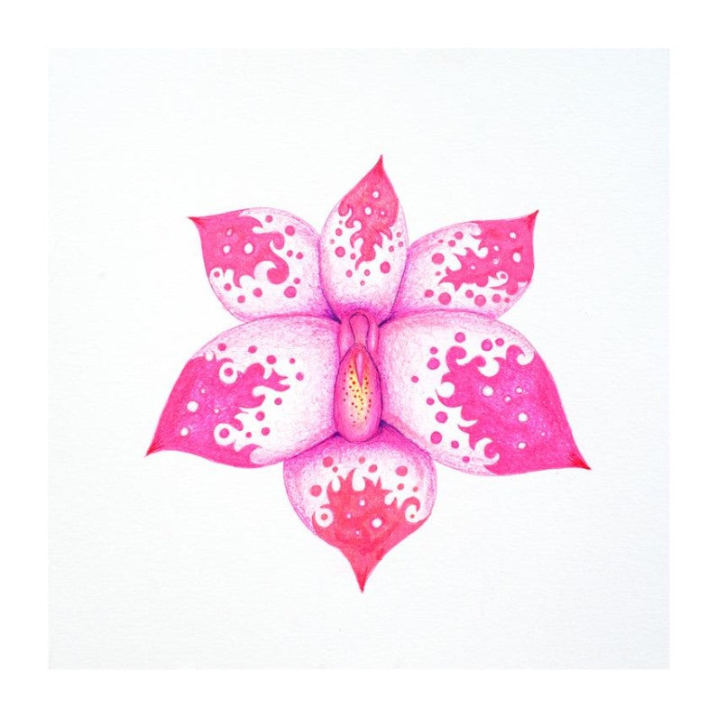 Coaster - Artwork - Orchid