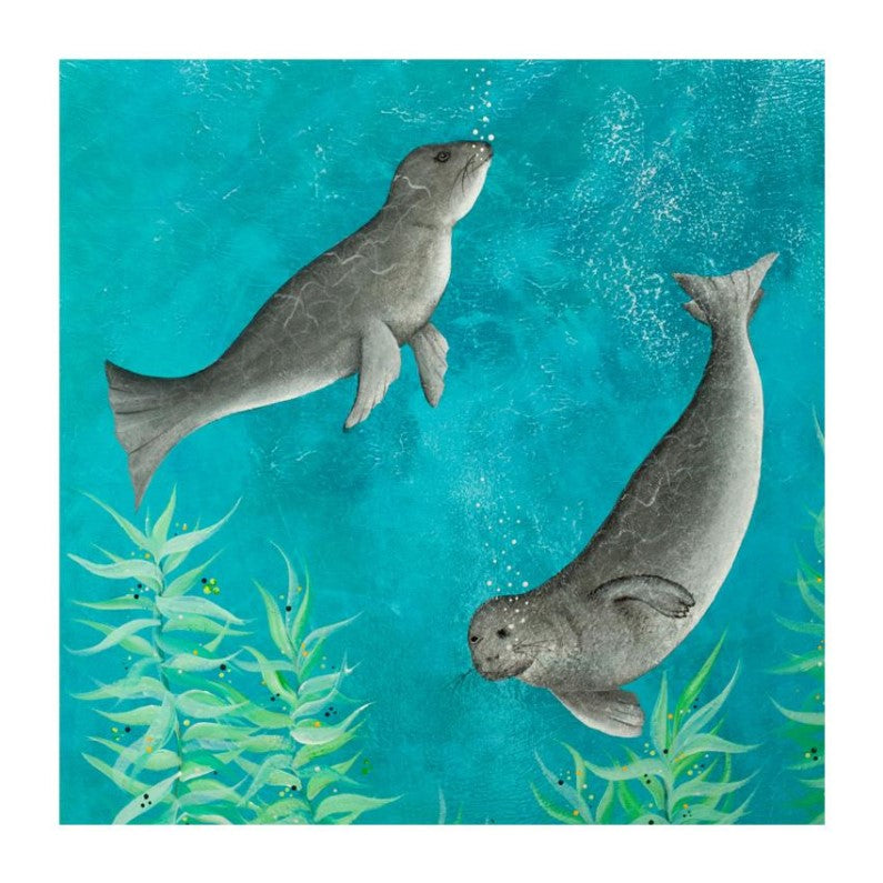 Coaster - Artwork - Seals