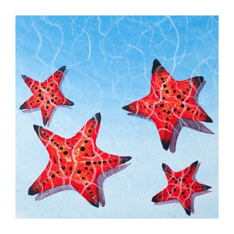 Coaster - Artwork - Starfish