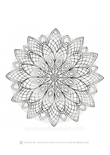 Load image into Gallery viewer, Colouring Book - Mandalas
