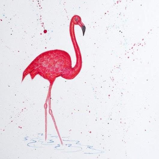 Drawing - Animal - Flamingo