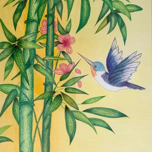 Drawing - Animal - Hummingbird