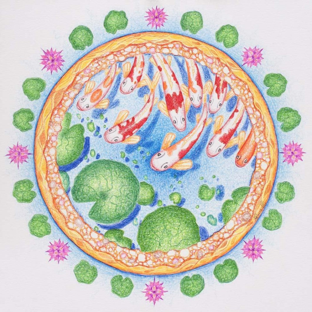 Drawing - Mandala - Koi