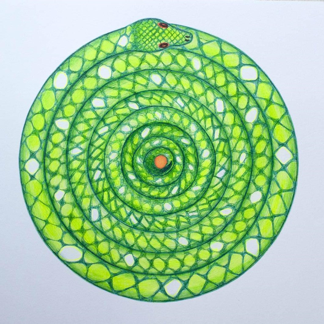 Drawing - Mandala - Snake