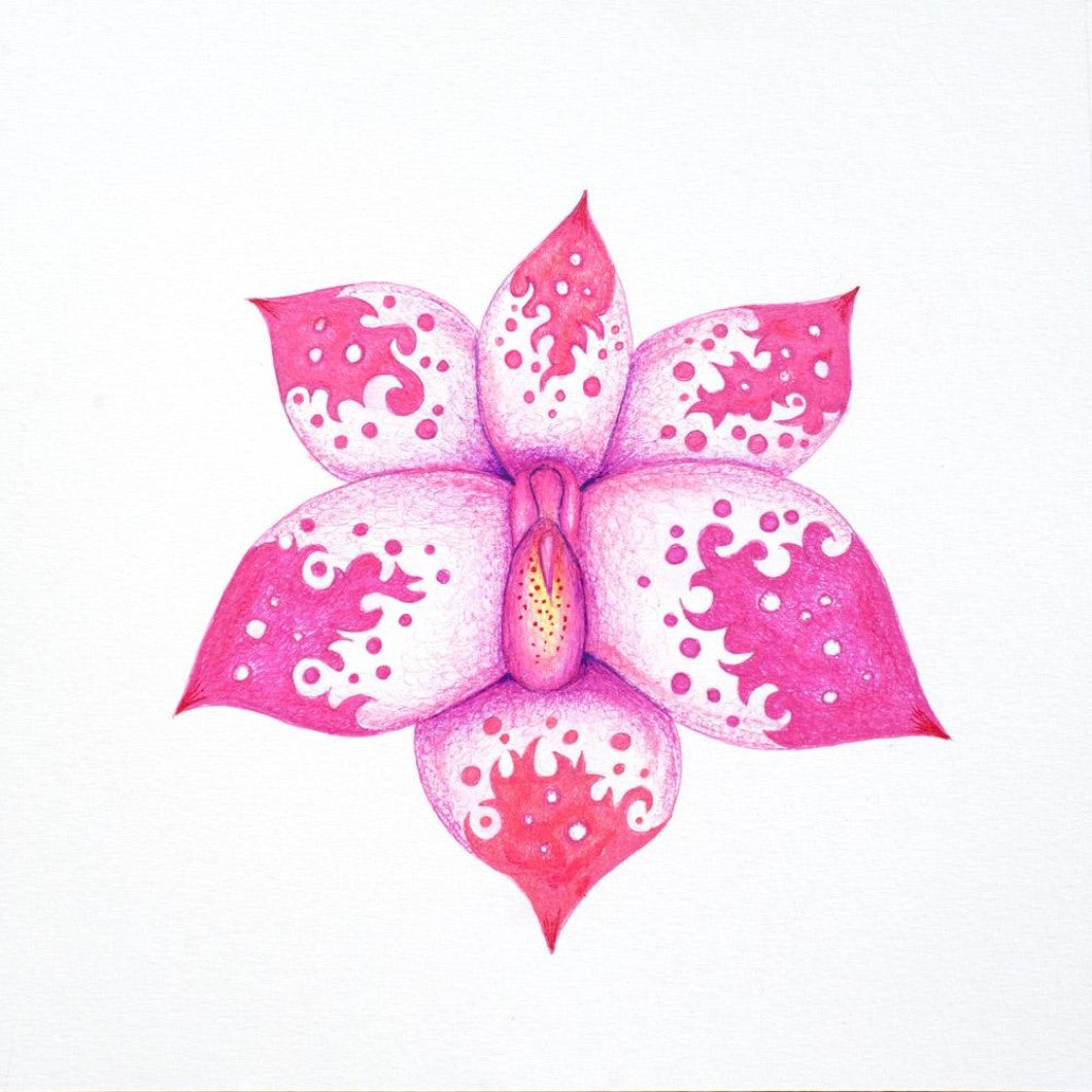 Drawing - Plants - Orchid 1