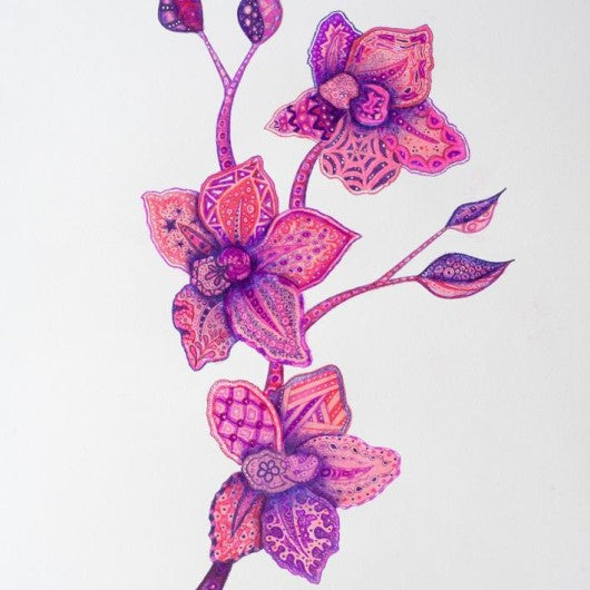 Drawing - Plants - Orchid 3