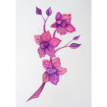 Load image into Gallery viewer, Drawing - Plants - Orchid 3
