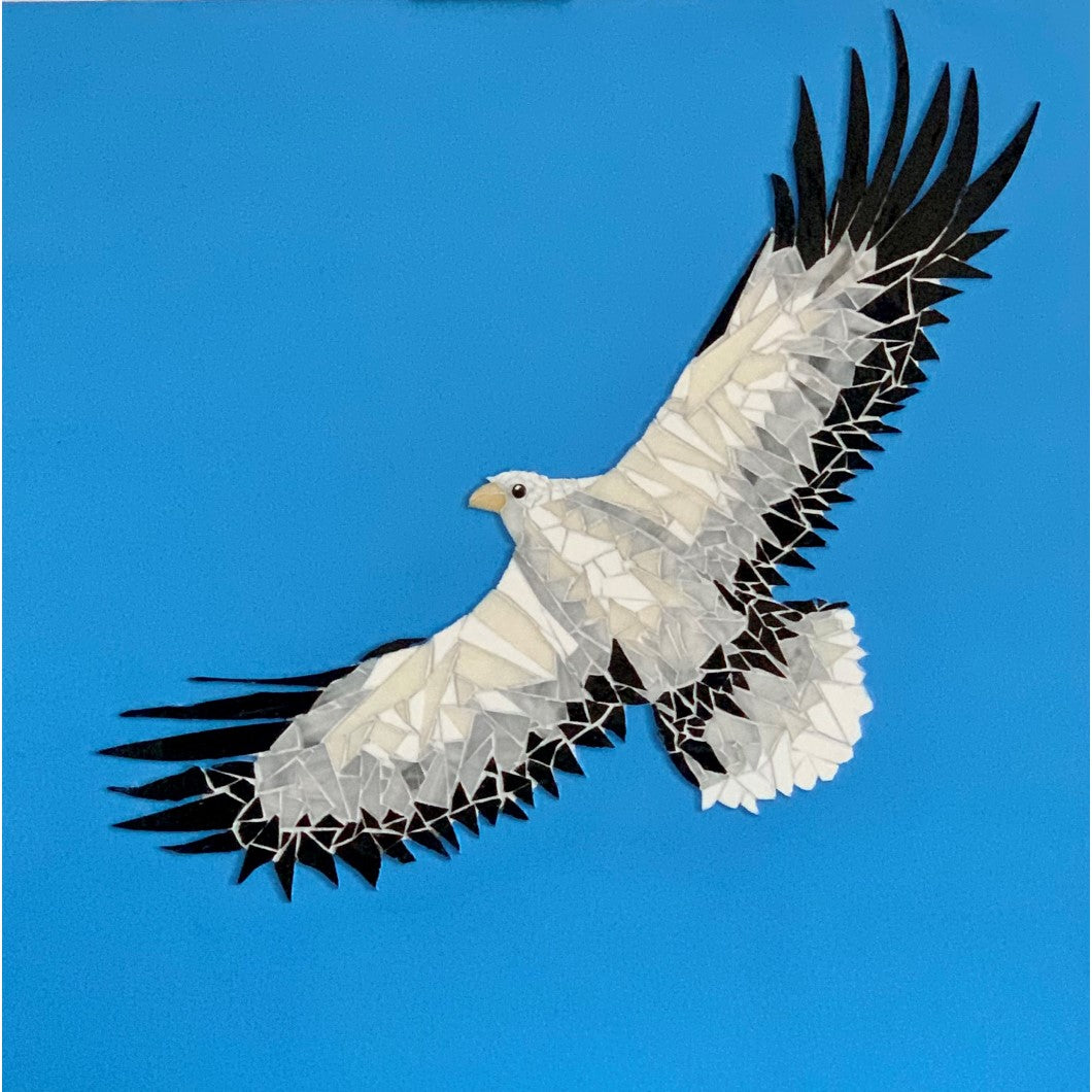 Painting & Mosaic - White-Bellied Sea Eagle